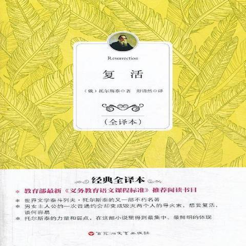 復活：全譯本(2013年百花洲文藝出版社出版的圖書)