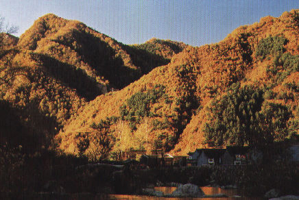 駝梁山