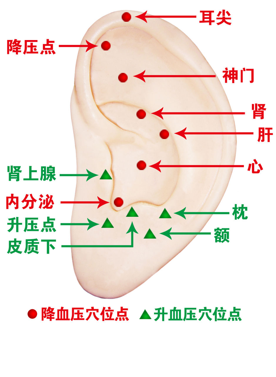 降壓健心儀