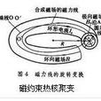 磁約束核聚變