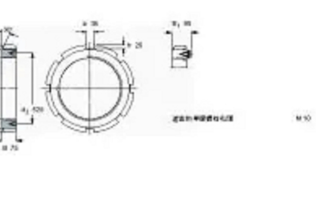 SKF HM3196軸承