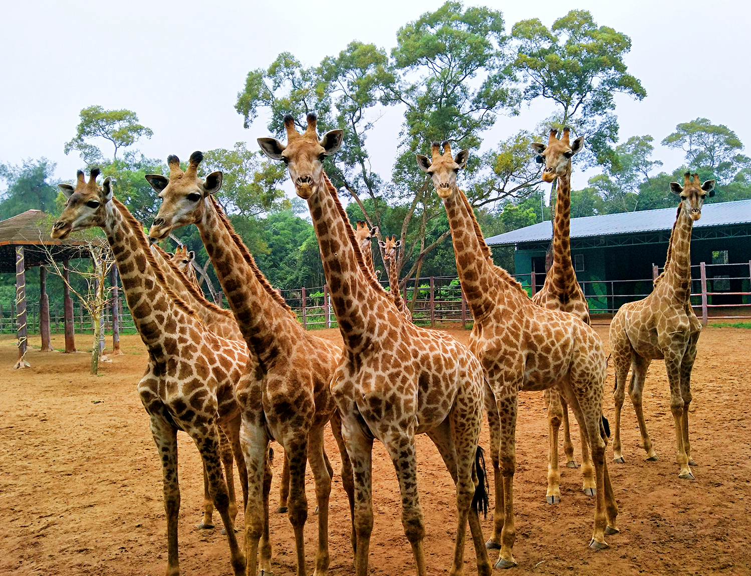 海南熱帶野生動植物園