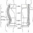 肩胛帶和上肢疼痛