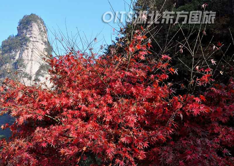 大庸府城風景區