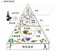 甲型H1N1流感中醫藥預防方案