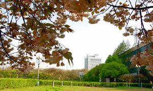 南京郵電大學風景