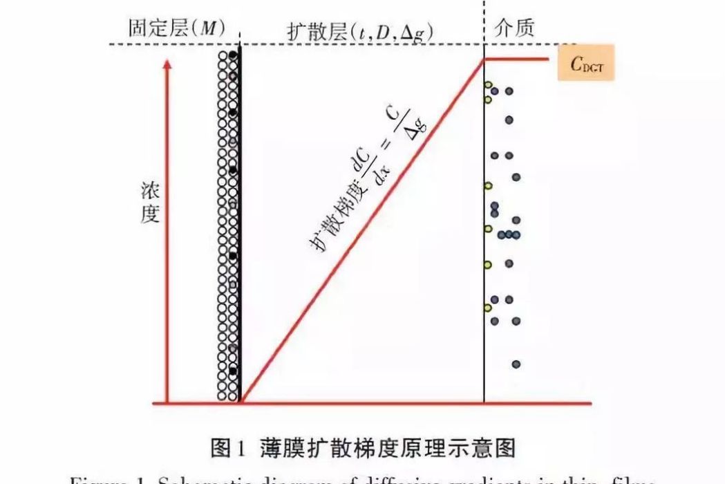 薄膜擴散梯度技術