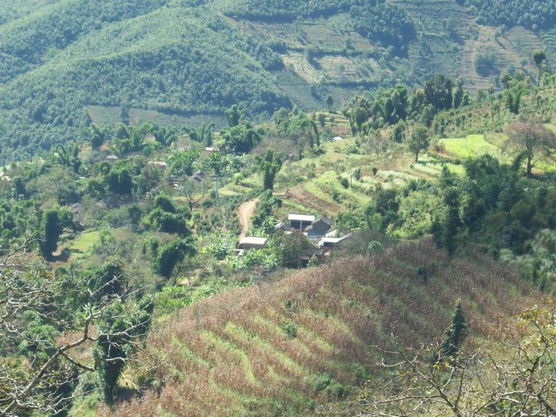 大嶺崗自然村