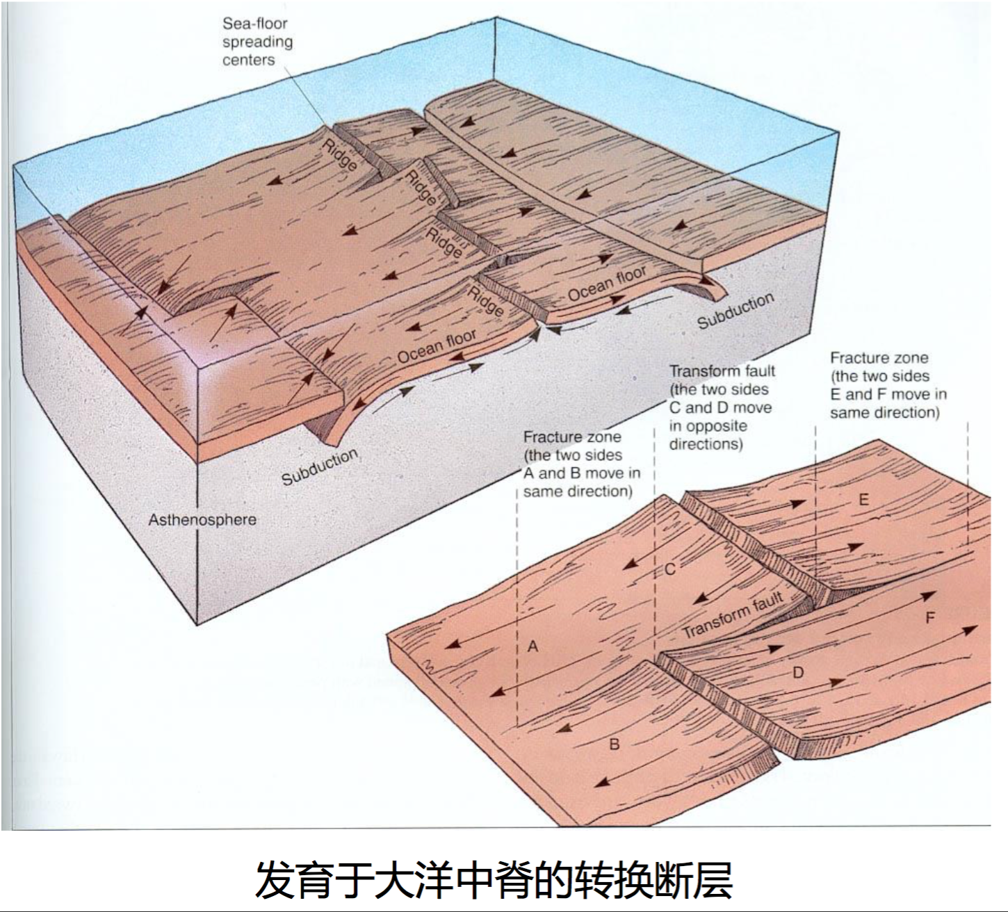 轉換斷層