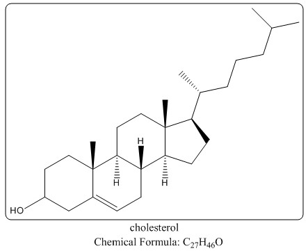 膽固醇結構