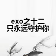 exo之十二隻永遠守護你