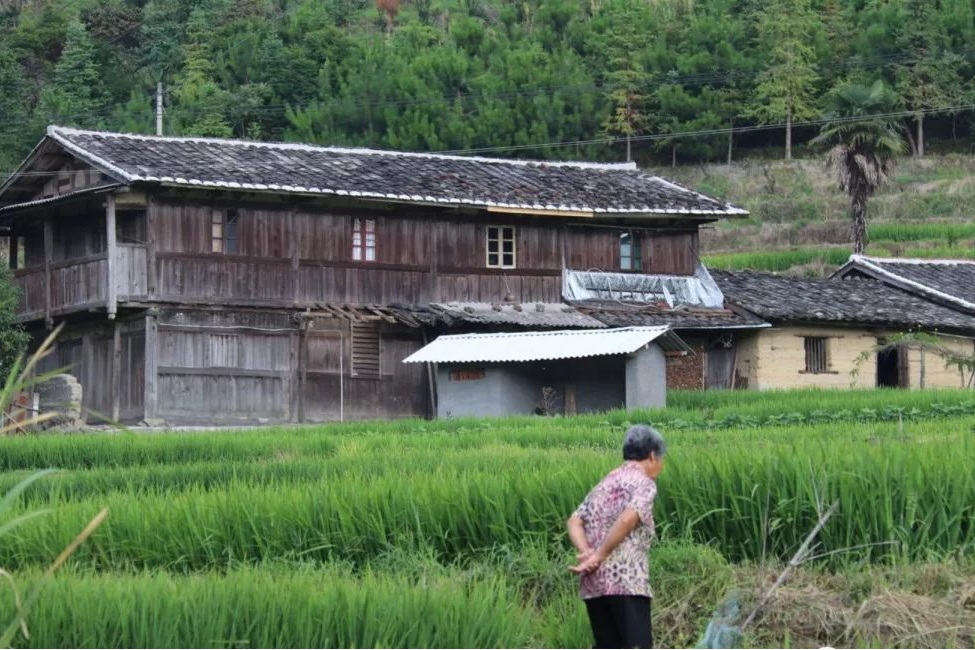 張荊村