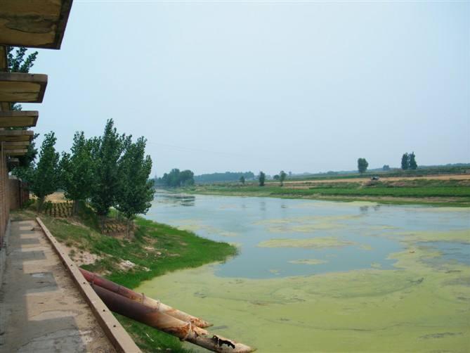 陶橋村(山東省聊城茌平陶橋)