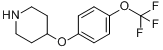 4-[4-（三氟甲氧基）苯氧基]哌啶