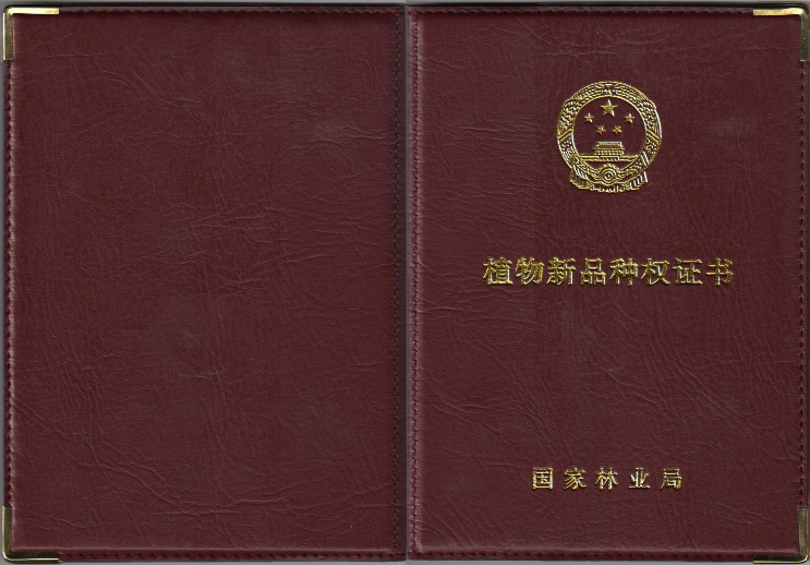 國家新品種權證書