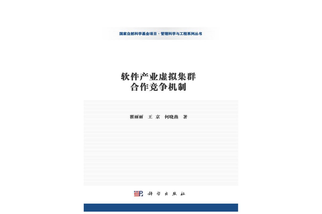 軟體產業虛擬集群合作競爭機制(2015年科學出版社出版的圖書)