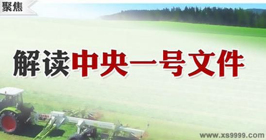 中共中央、國務院關於加大改革創新力度加快農業現代化建設的若干意見(2015年中央一號檔案)