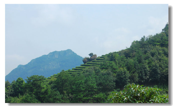 仙坪古道