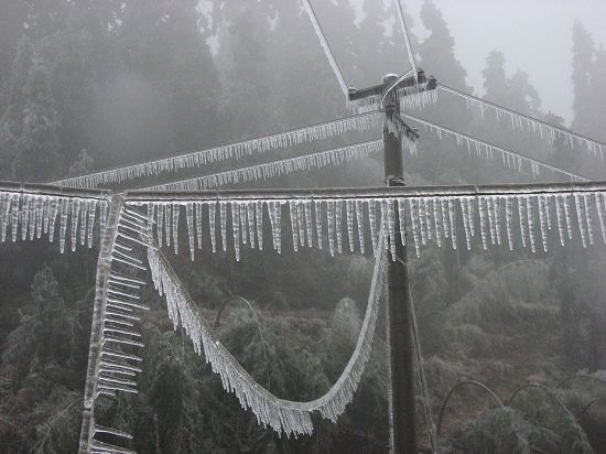 電線積冰