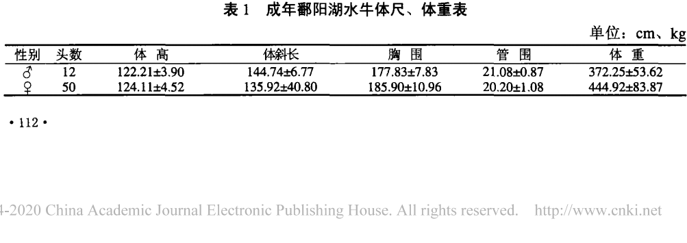 成年鄱陽湖水牛體尺 、體重表