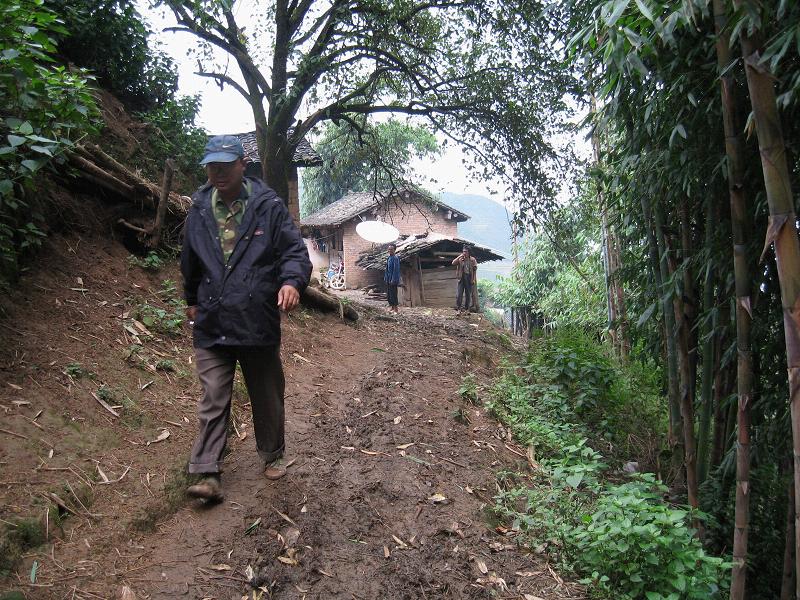 進村道路