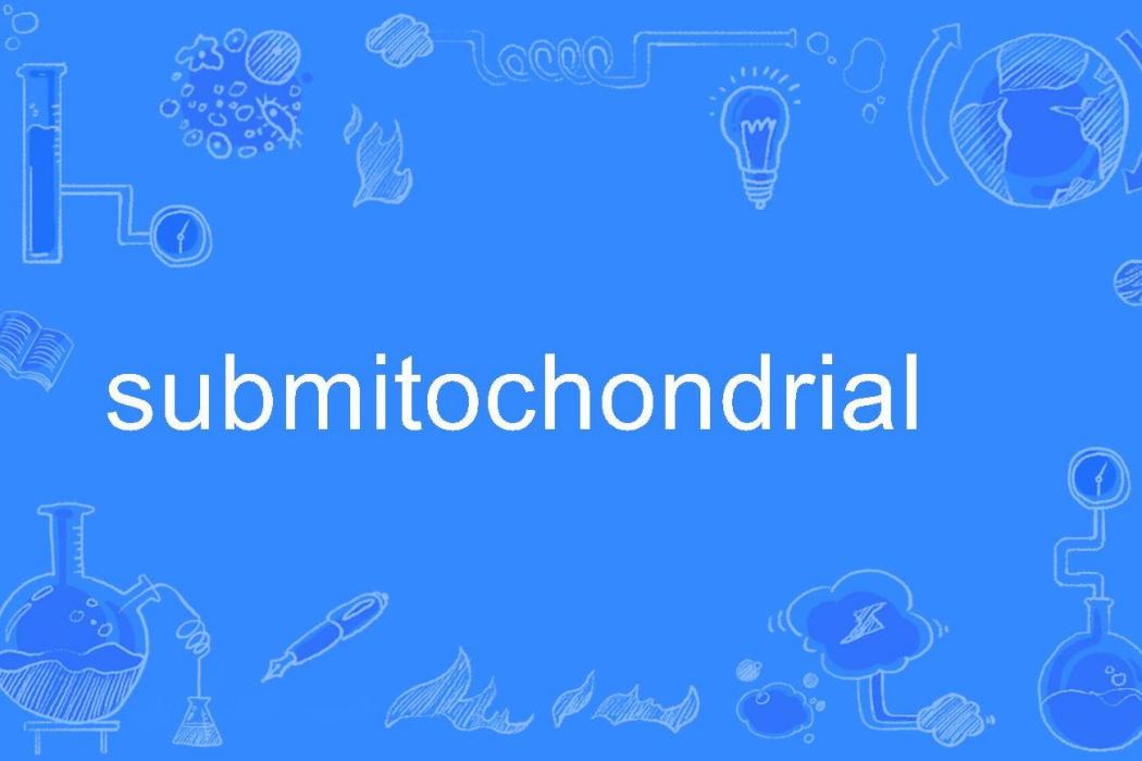 submitochondrial