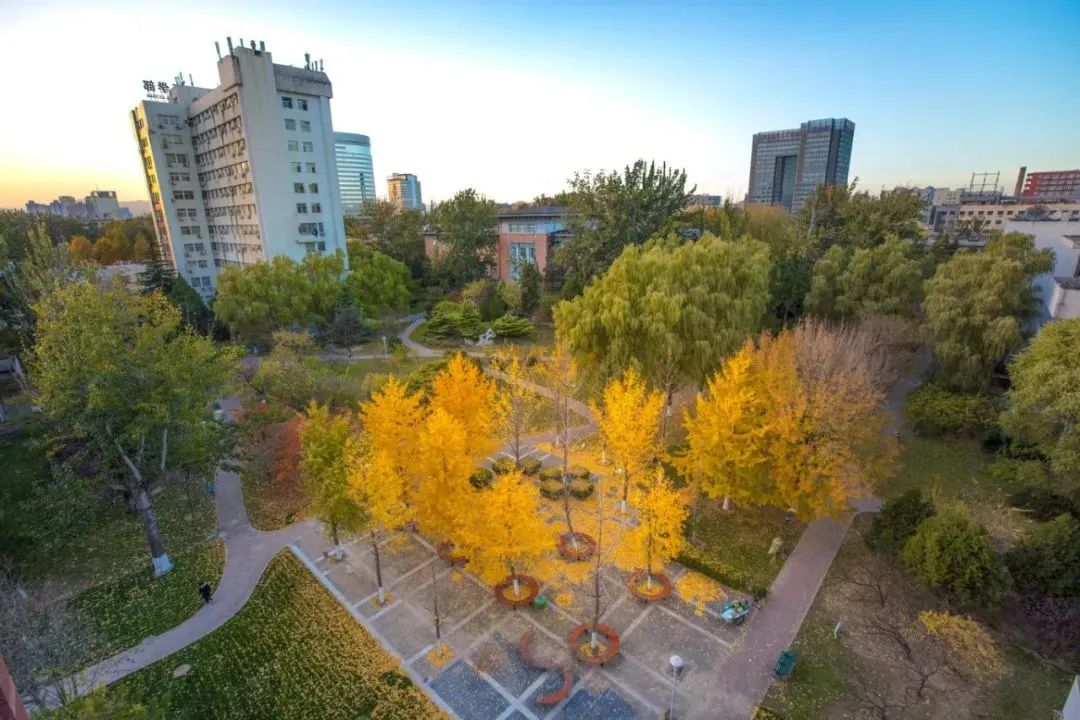 北京大學醫學部(北京醫科大學（北京大學醫學部前身）)