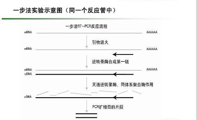 一步法