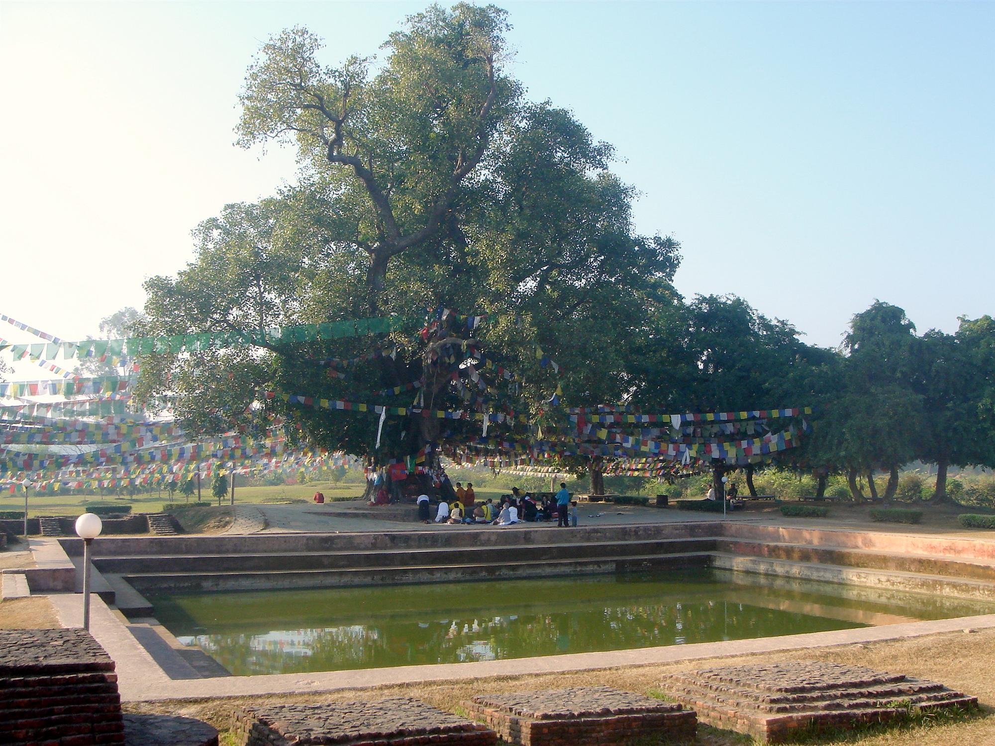 藍毗尼園