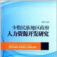 少數民族地區政府人力資源開發研究