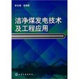 潔淨煤發電技術及工程套用