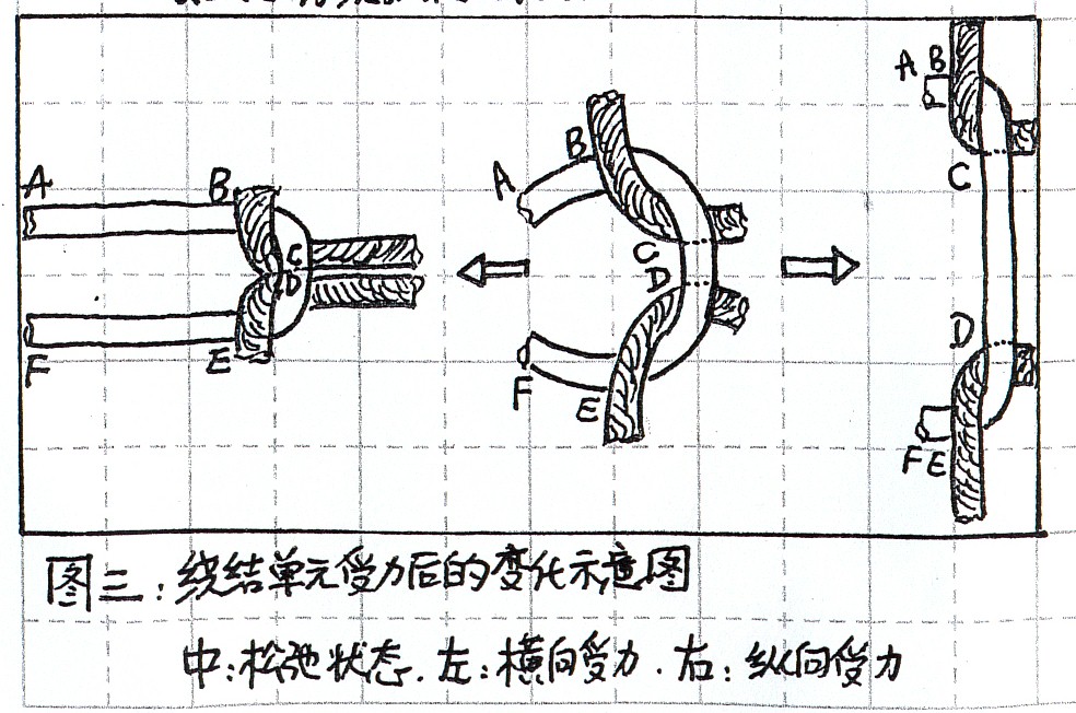 圖三：繞結單元受力後的變化示意圖