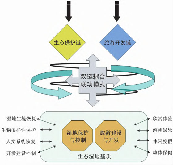 生態系統開發