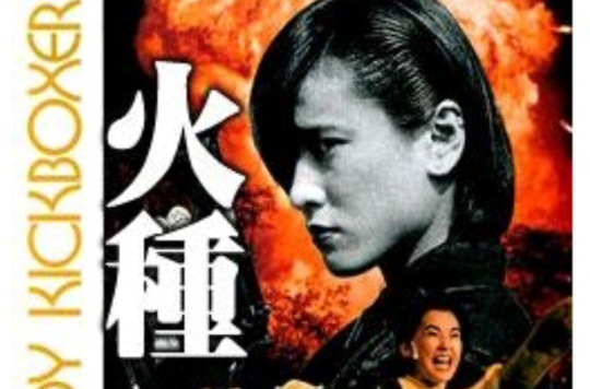 火種(1993年李賽鳳主演的香港電影)