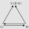 紐科姆的對稱模式