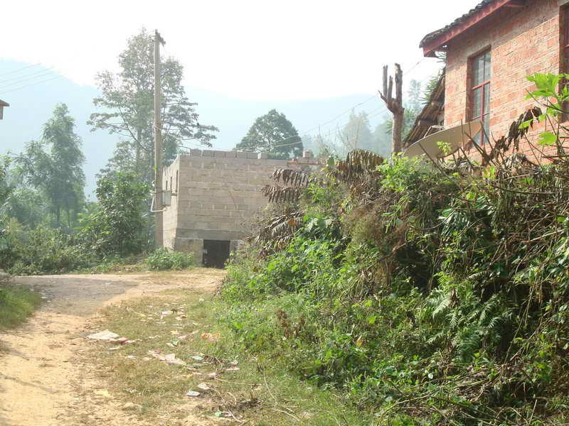 進村道路