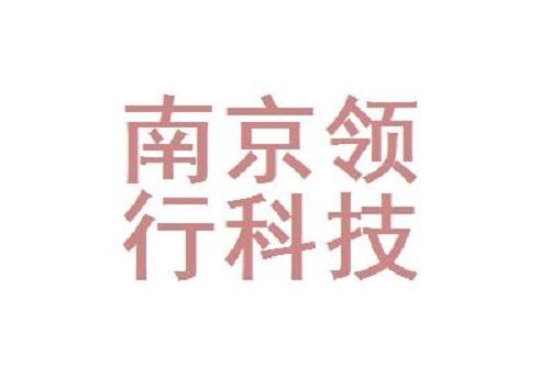 南京領行科技股份有限公司