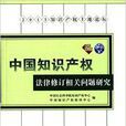 中國智慧財產權法律修訂相關問題研究