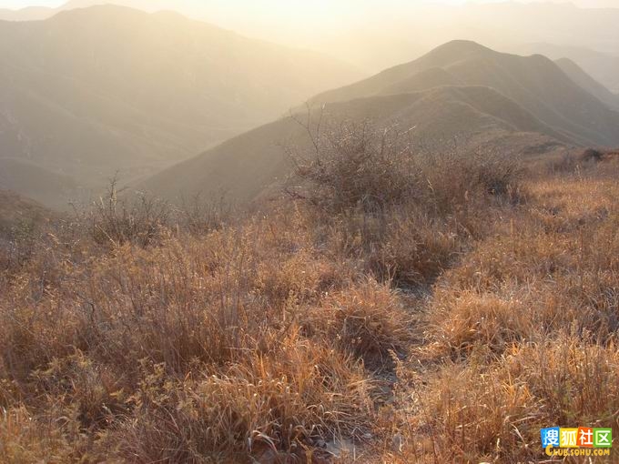 燕羽山