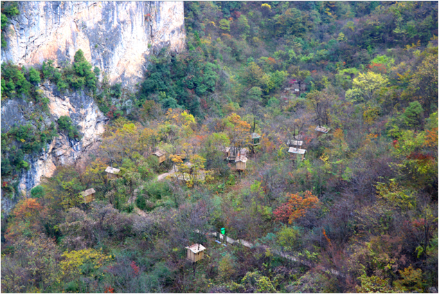 神農峽岩屋溝風景區