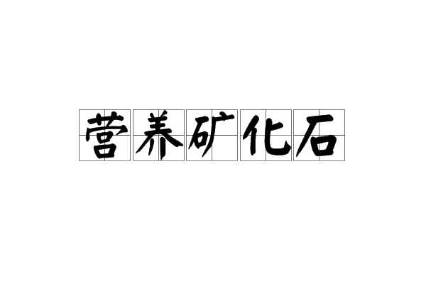 營養礦化石