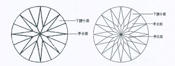 圖2標準鑽型與梅花鑽石切工亭部比較圖