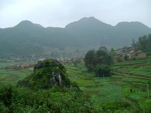 草海子村(雲南省丘北縣雙龍營鎮草海子村)