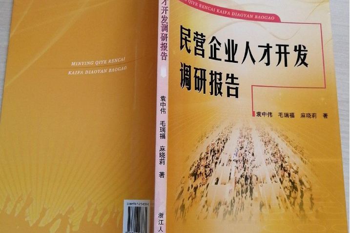 民營企業人才開發調研報告