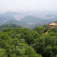 圭峰山國家森林公園