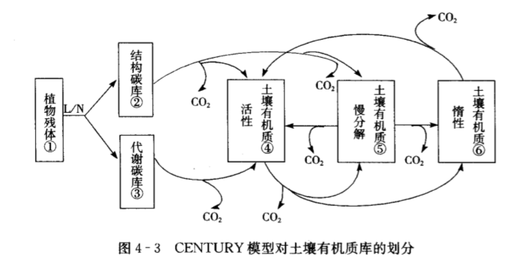 土壤有機質周轉模型