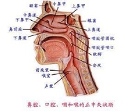 消化系統疾病並存精神障礙