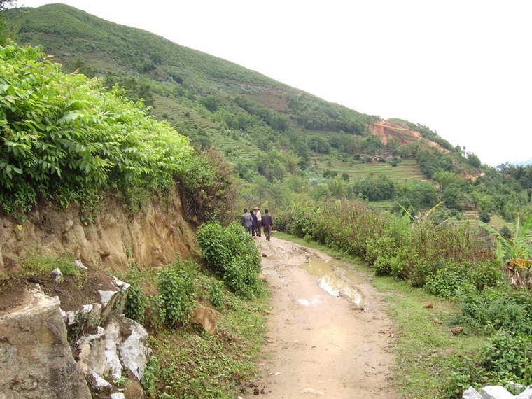 進村道路