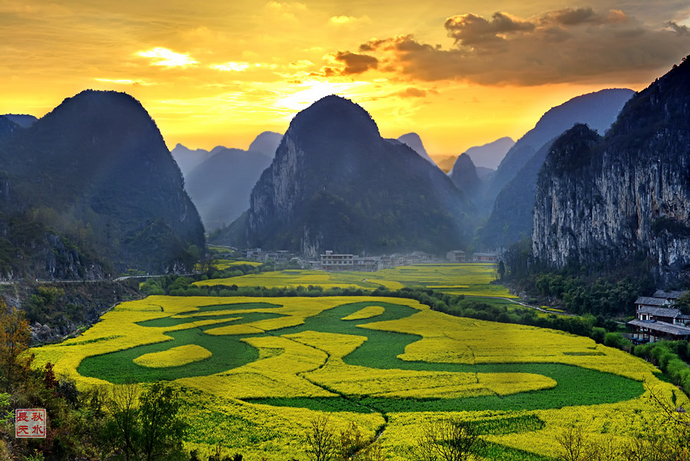 龍宮油菜花