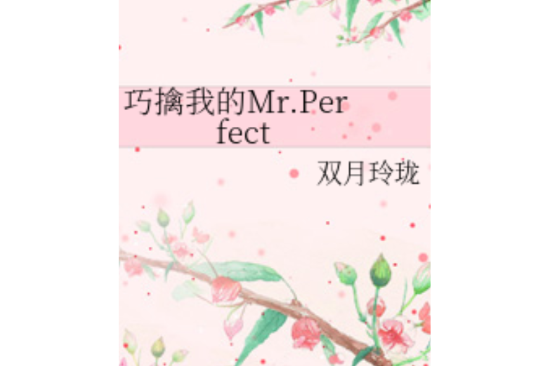 巧擒我的Mr.Perfect